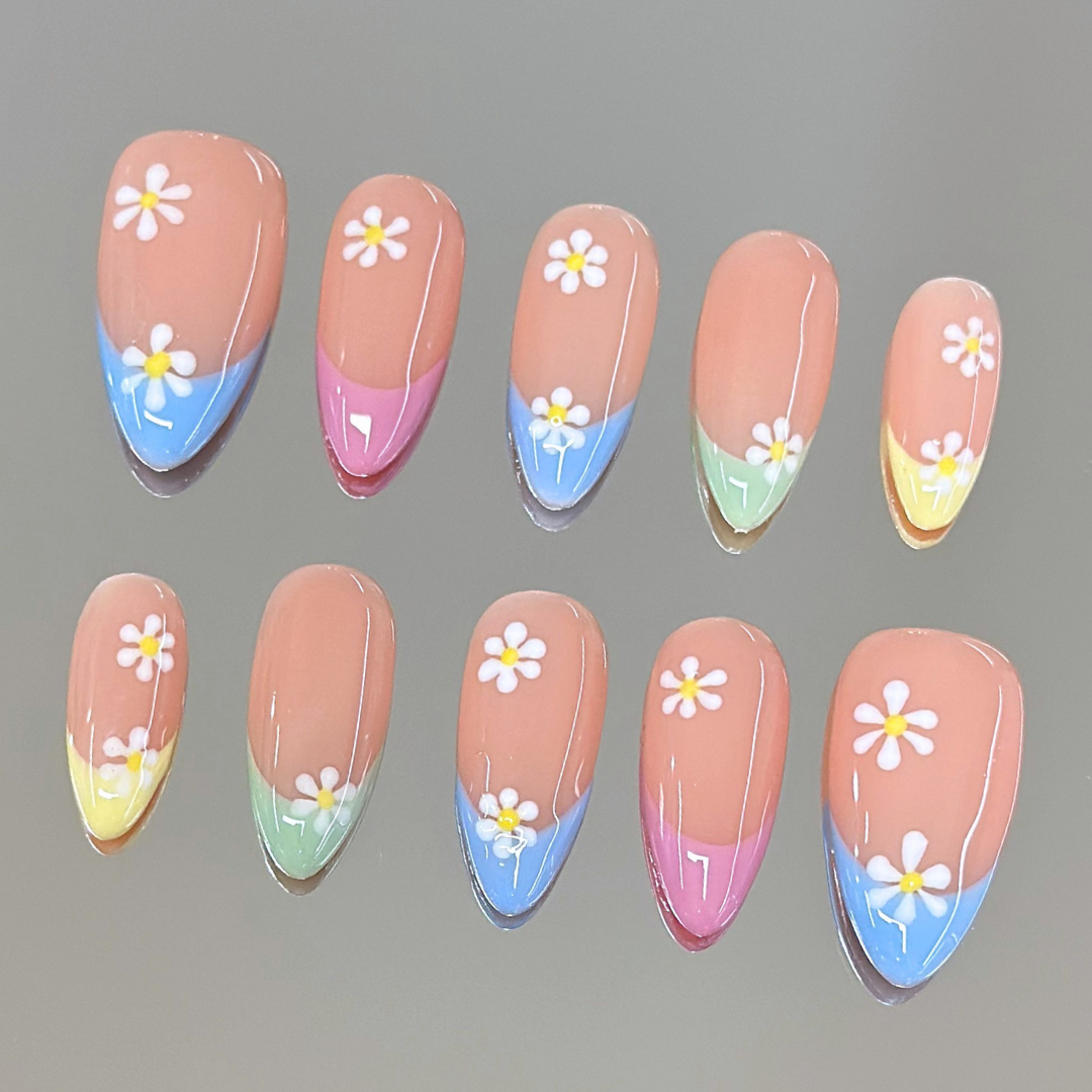 Meadow Daisy
