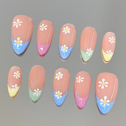 Meadow Daisy