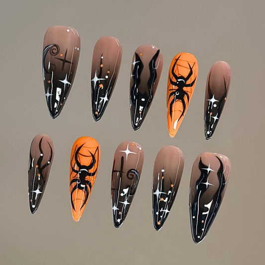 Spider Night