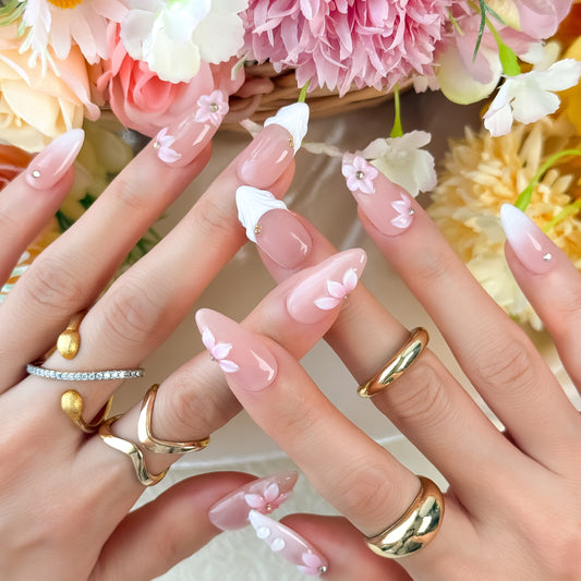 Blush Camellia
